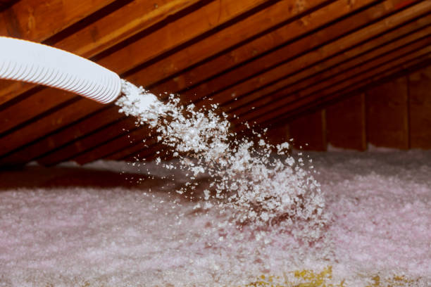 Best Energy Efficiency Insulation in Palmdale, CA