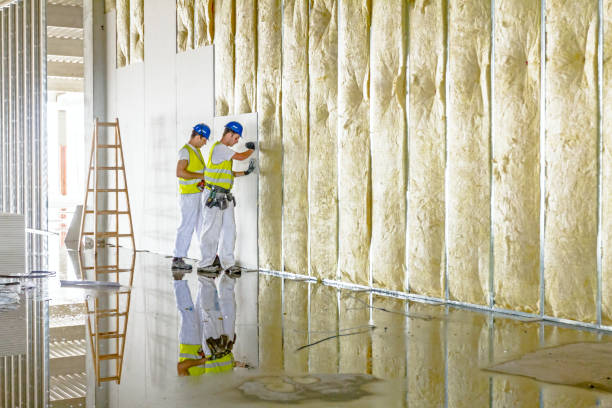 Types of Insulation We Offer in Palmdale, CA